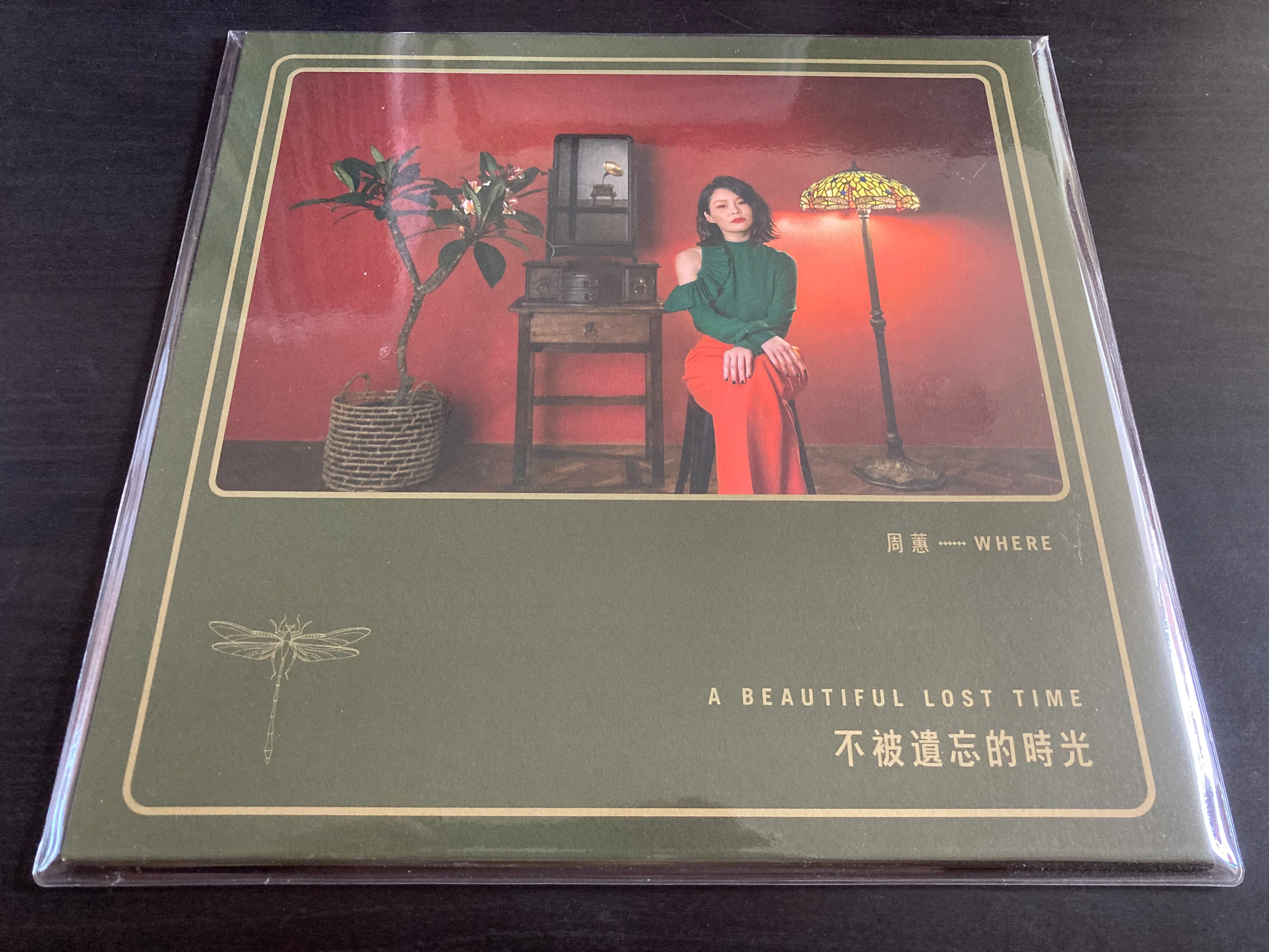 Zhou Hui / 周蕙 - 不被遺忘的時光 LP 33⅓rpm (紀念典藏黑膠)